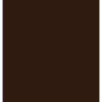 Picariello Studio Logo