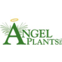 Angel Plants Inc Logo
