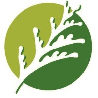 City of Cedar Park Logo