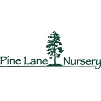 Pine Lane Nursery Logo