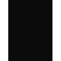 Yankee Point Sailboat Marina Logo