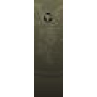 Big Horn Galleries Logo