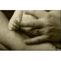 Dale Meyer Trucking Co Logo