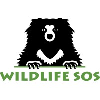 Wildlife SOS Logo