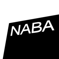 NABA Nuova Accademia di Belle Arti Logo