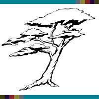 Humboldt Area Foundation Logo