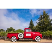 Benessere Vineyards Logo