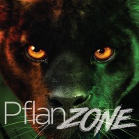 Pflanz Electronics Logo