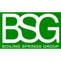 Boiling Springs Group Logo