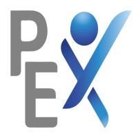 Project Extreme Logo