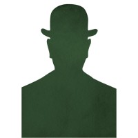 MISTER GREEN SOLUCIONES GLOBALES PARA EVENTOS SL Logo