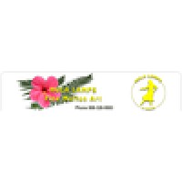 Hula Lamps Of Hawaii Logo