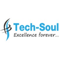 Tech-Soul Technologies Logo