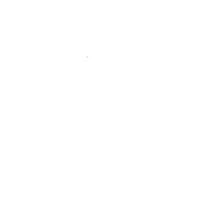 Israel Diamond Supply Logo