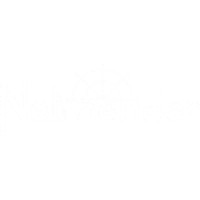 Netmender Inc Logo