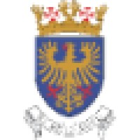 Portuguese Air Force Logo