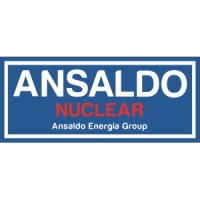 Ansaldo NES Logo