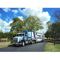 Brook Ledge Horse Transportation Logo