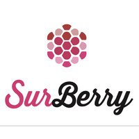SURBERRY SL Logo