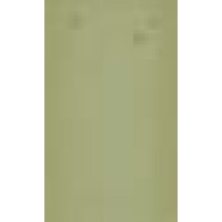 Daffodil Festival Logo