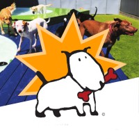 Every Dog Has Its Day Care Logo