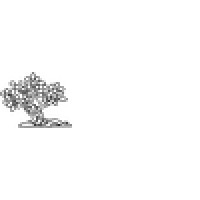 Riva Trace Baptist Logo