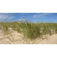 Michigan City Public Library Logo