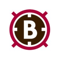 Bold Property Management Solutions Logo