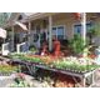 Allisonville Nursery Logo