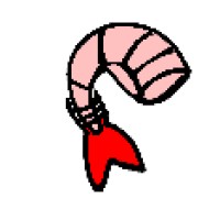 iRaishrimp S.L. Logo