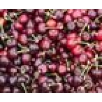Sage Fruit Co Llc Logo