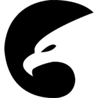 Hawk Consulting Logo