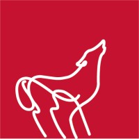 Wolfe Design Marketing, LLC Logo