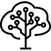 Brainforest Logo