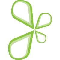 Info Jr. Logo