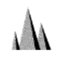 Bergzout Logo