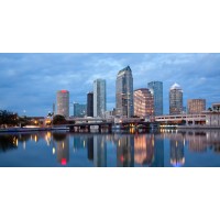 Peter Steffens Consulting, LLC Logo