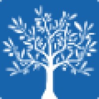 BLV Insurance Services Logo