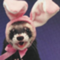 Ramsey Animal Hospital Logo