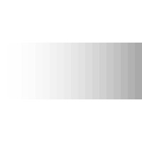 Debra Force Fine Art Inc Logo