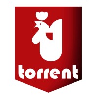 Torrent i Fills Logo