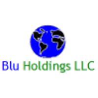 Blu Holdings LLC Logo