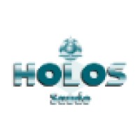 Holos Saúde - Medicina do Trabalho Logo