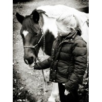 Sibley Equine Conservancy Logo