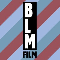 BLMFILM GMBH Logo