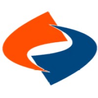 VDS Logo