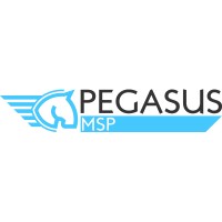 PEGASUS MSP SRL Logo