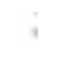 Eagan Orthodontics Logo