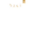 Exclusive Lingerie Logo