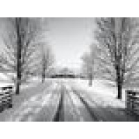 Cross Creek Equine Practice Logo